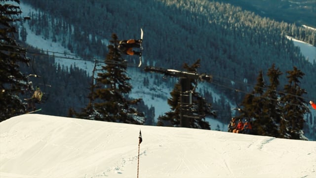 Carter – Gardens and Villa from Carter Jarvis