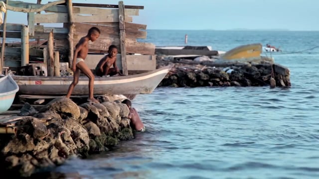 Trailer Oficial