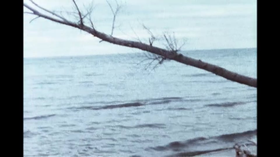 Lake Ontario (in my head)