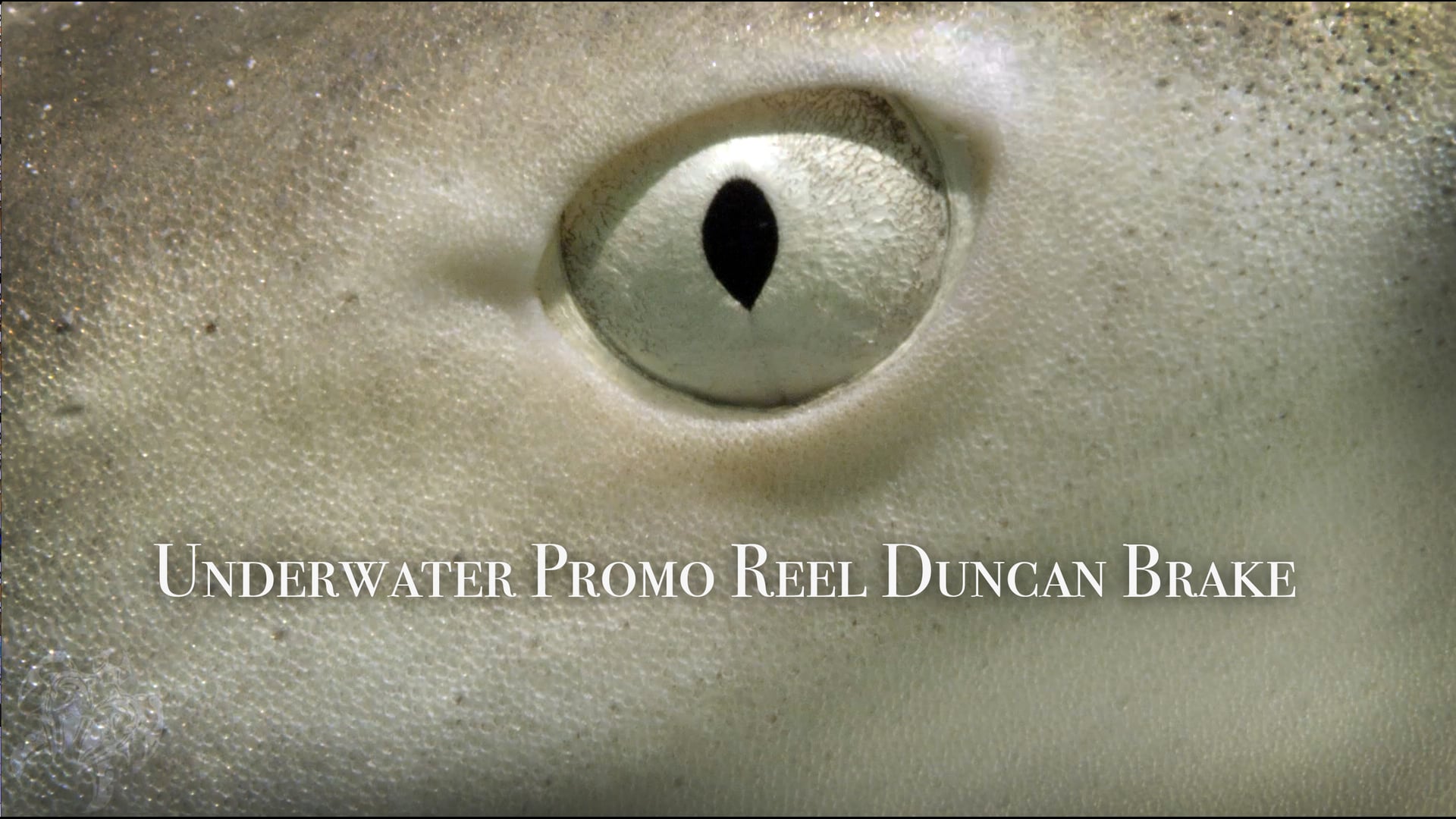 DUNCAN BRAKE UNDERWATER PROMO REEL