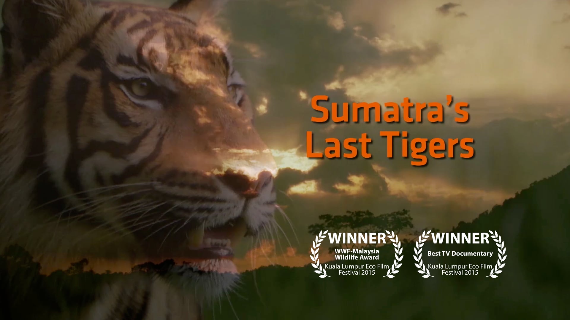 Sumatra's Last Tigers (2015)