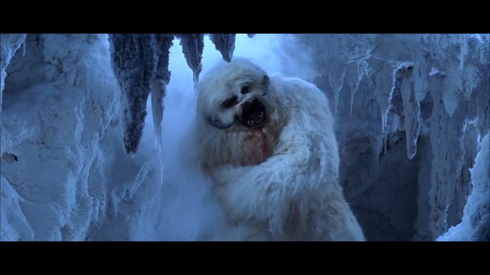 Star Wars - Amputations