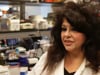 Newswise: Blocking Enzymes in Hair Follicles Promotes Hair Growth