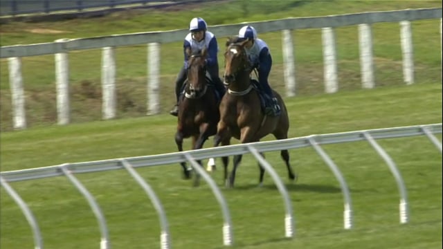 Lot 31