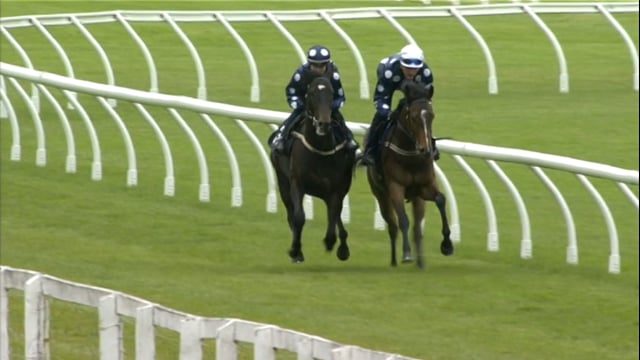 Lot 32