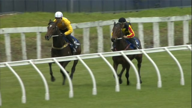 Lot 279