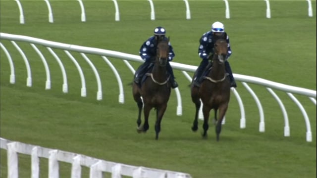 Lot 98