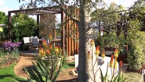 Brisbane International Garden Show 2015