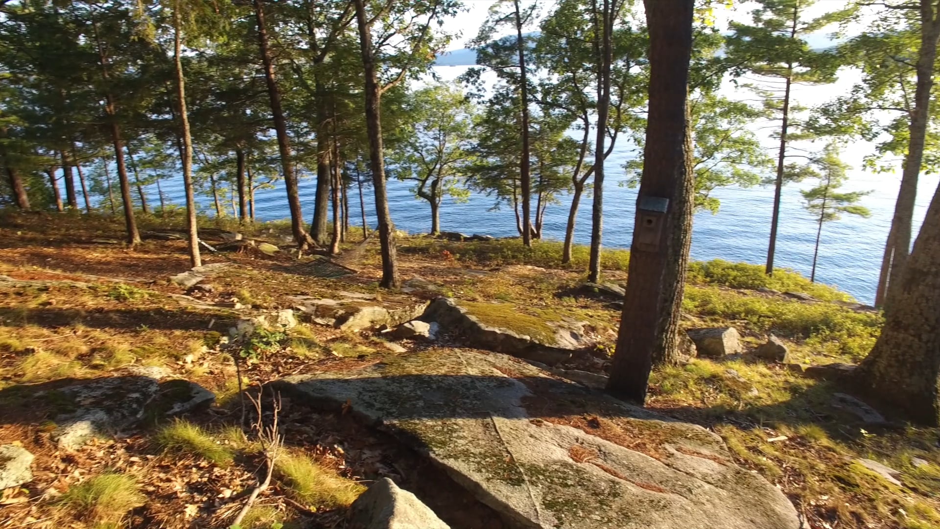 78 Spruce Road Wolfeboro, New Hampshire on Vimeo