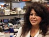 Newswise: Blocking Enzymes in Hair Follicles Promotes Hair Growth