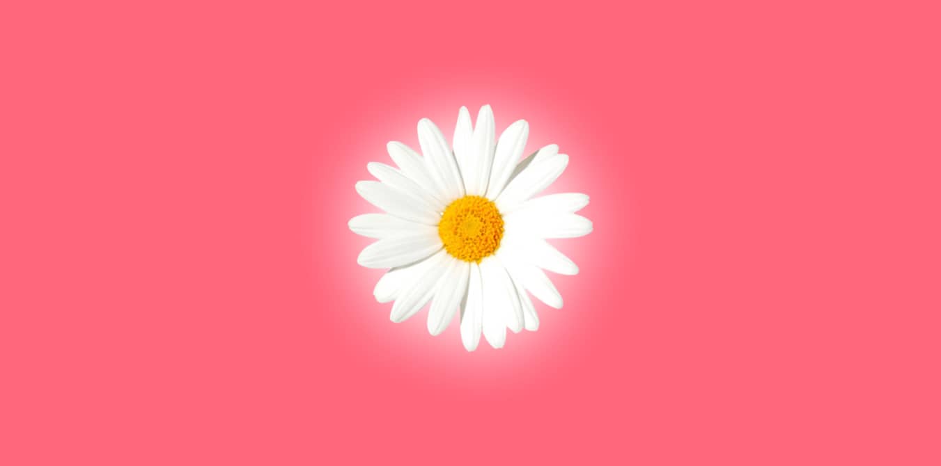 爆菊用英语怎么说 On Vimeo