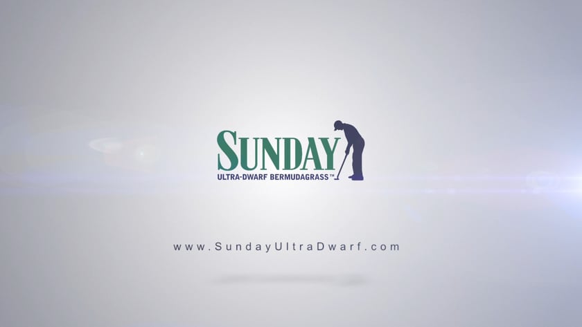 vimeo-video-thumbnail
