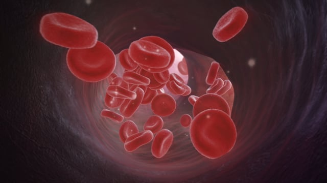 Blood Cells, DNA, Spores (Medical Exp.)