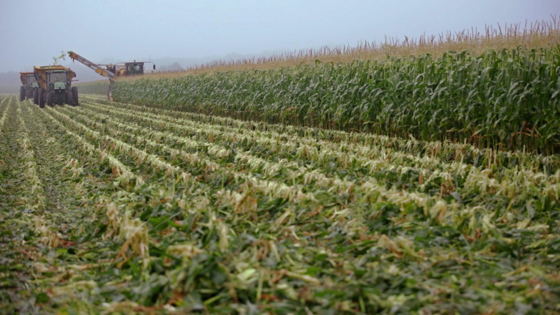 VegTour_ATL_TornadoPie_30