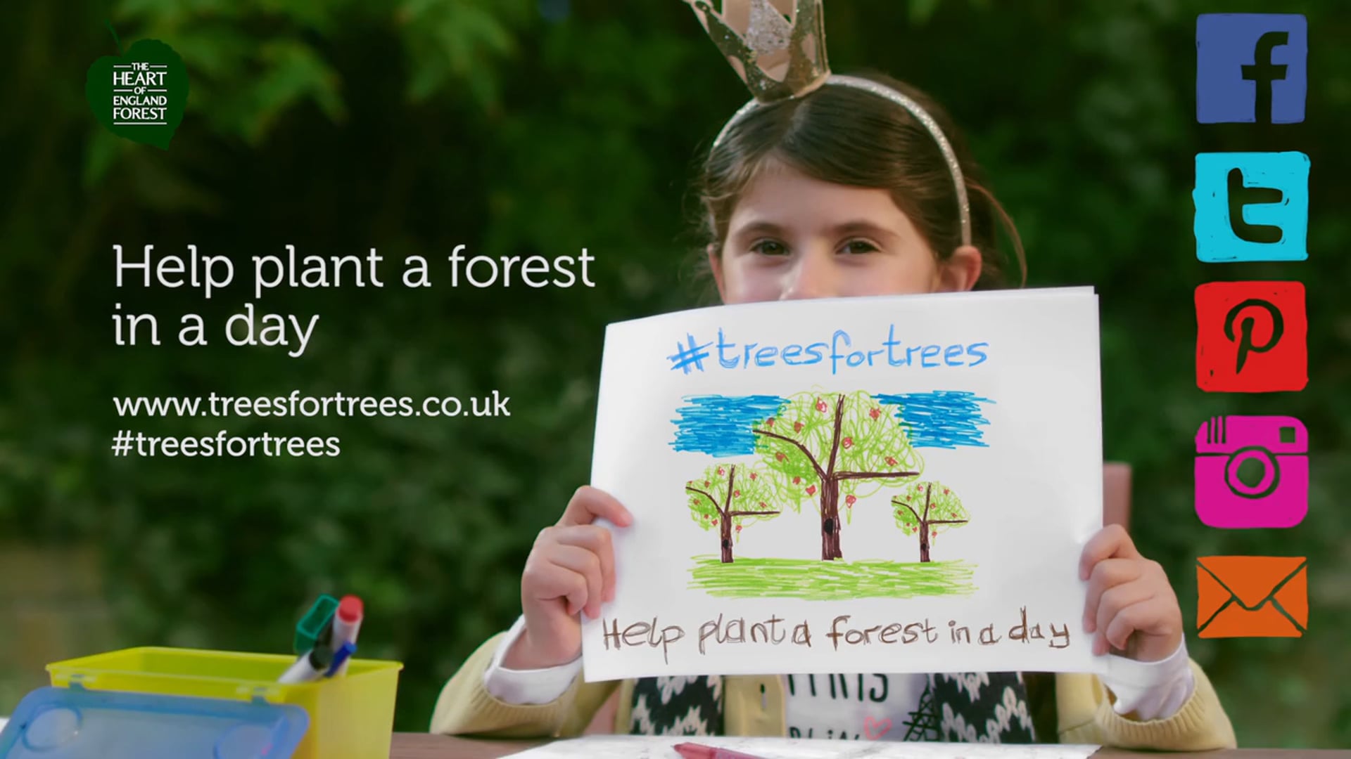 HOEF Trees for Trees