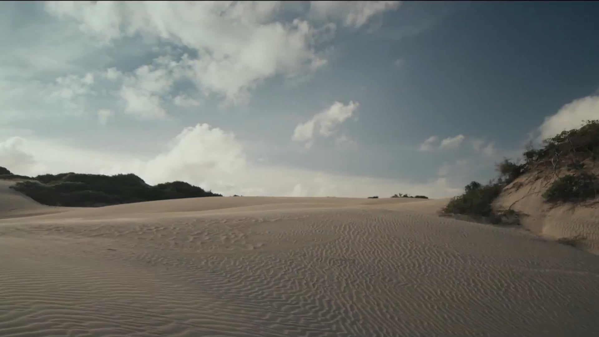 FISHING WITHOUT NETS - "Prisoners"