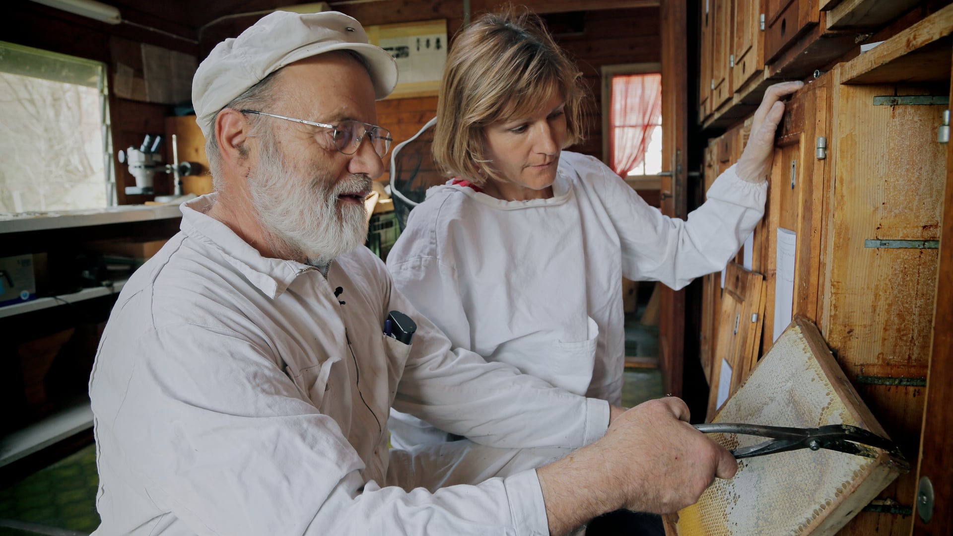 THE STORY OF BEEKEEPERS – Greenpeace