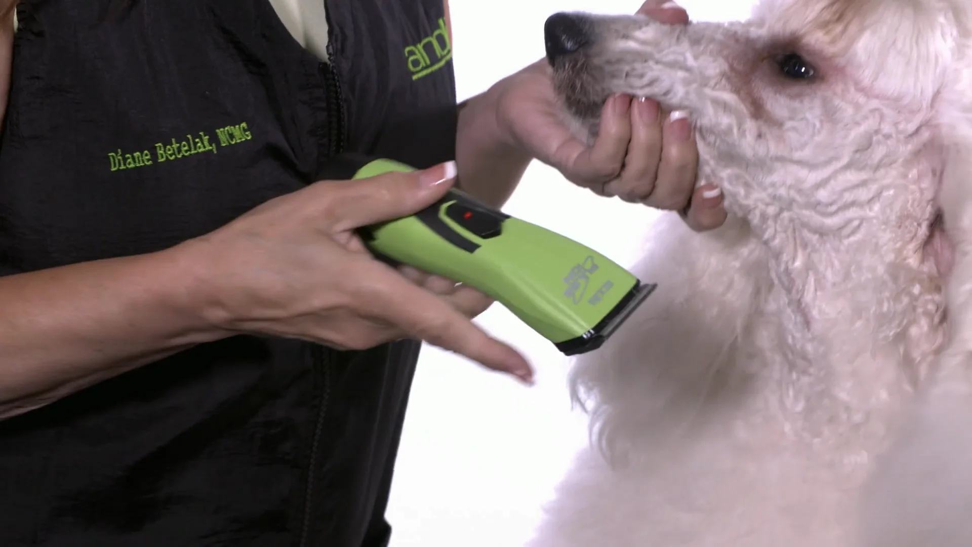 Maintain Your Animal Clippers - Andis How-to Grooming Tips on Vimeo