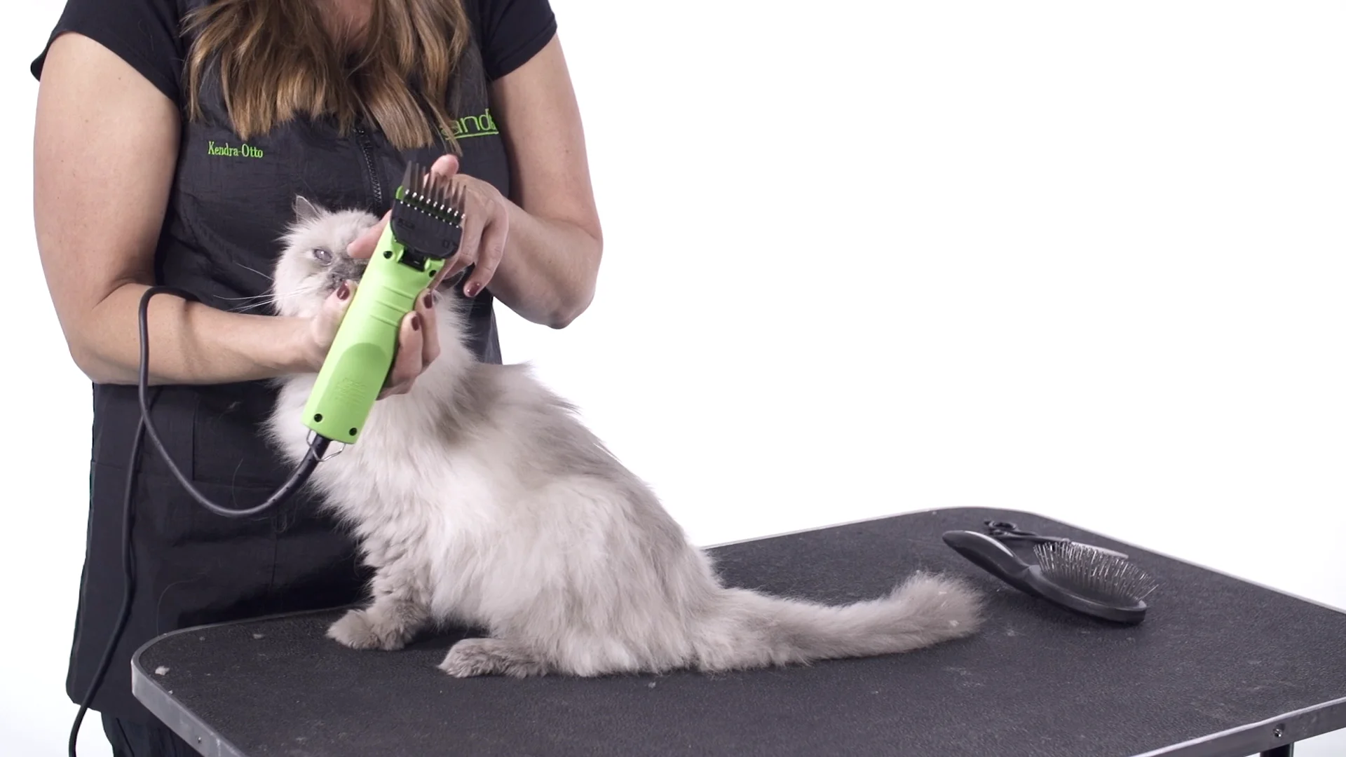 Maintain Your Animal Clippers - Andis How-to Grooming Tips on Vimeo