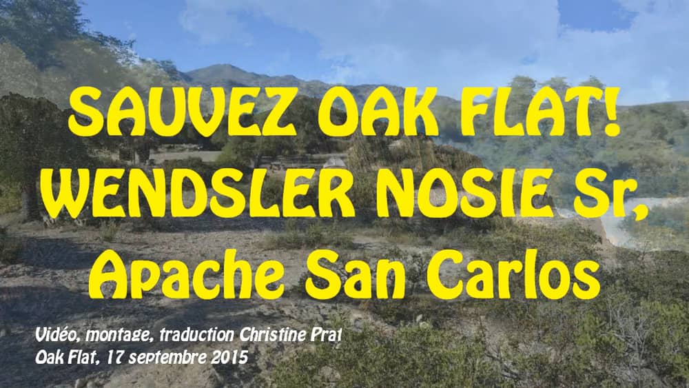 Interview De Wendsler Nosie Apache San Carlos San Carlos Interview Company Logo