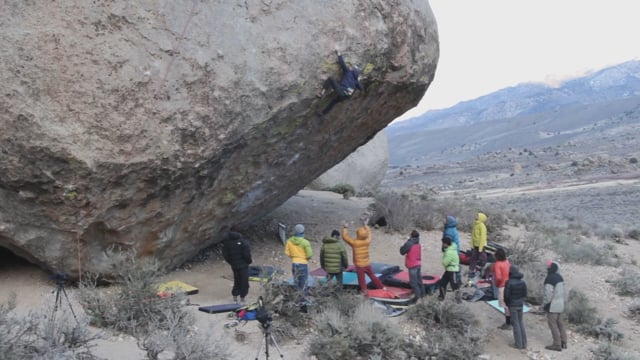 Evilution Direct – FAIL from Alex Biale