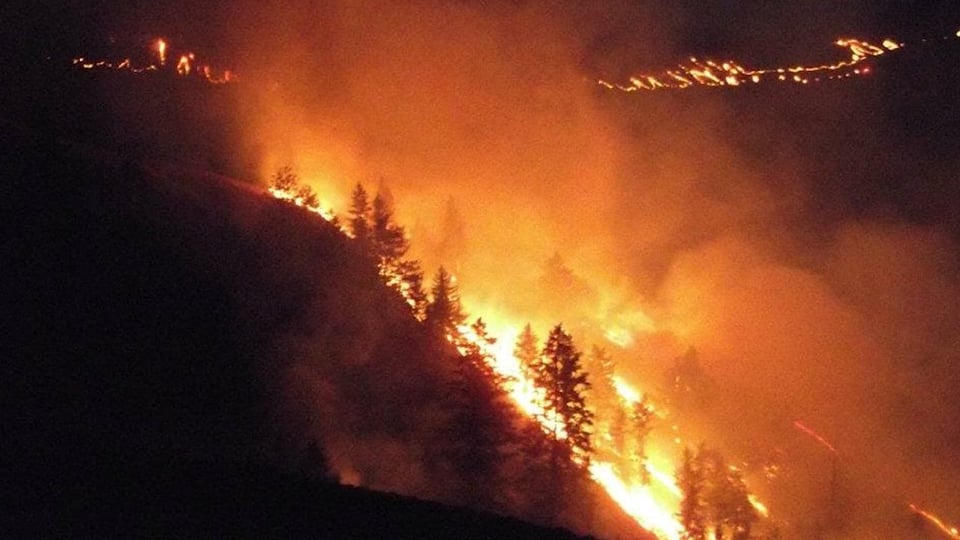 The Cactus Fire