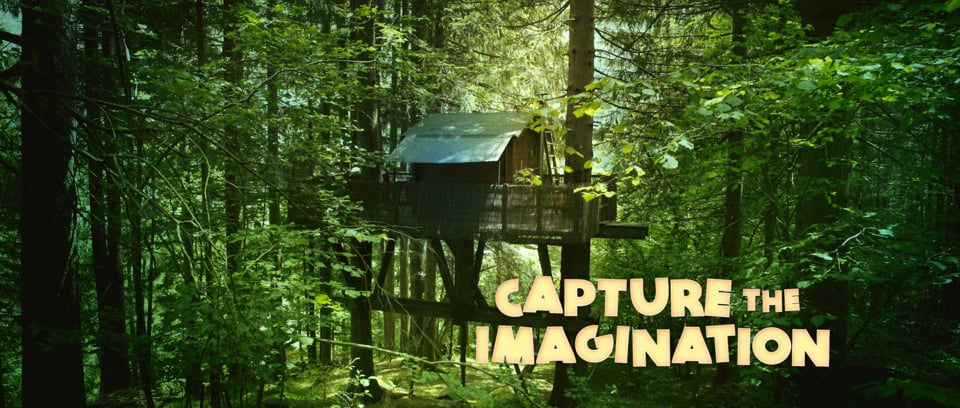 Capture the Imagination
