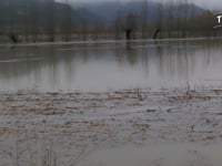 ARCUGNANO CONTRO LE 'MALEDETTE' FOGLIE E PIOGGE