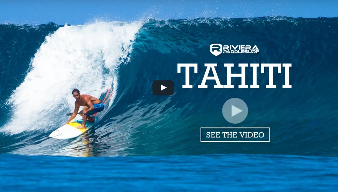 RIVIERA Paddle Surf WHRLING DERVISH 8.0|沖縄サーフィンショップ