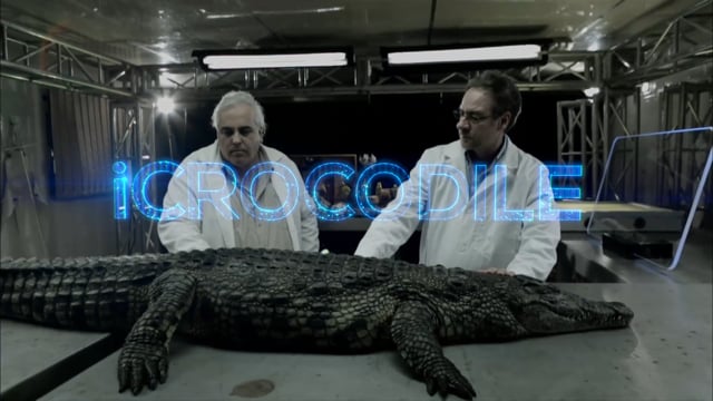 iCrocodile