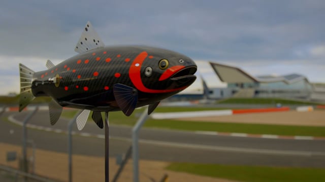 The artist behind the carbon