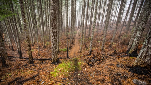 The Burn from The Coastal Crew