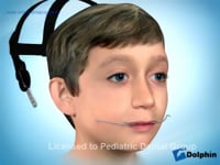 Combination Headgear