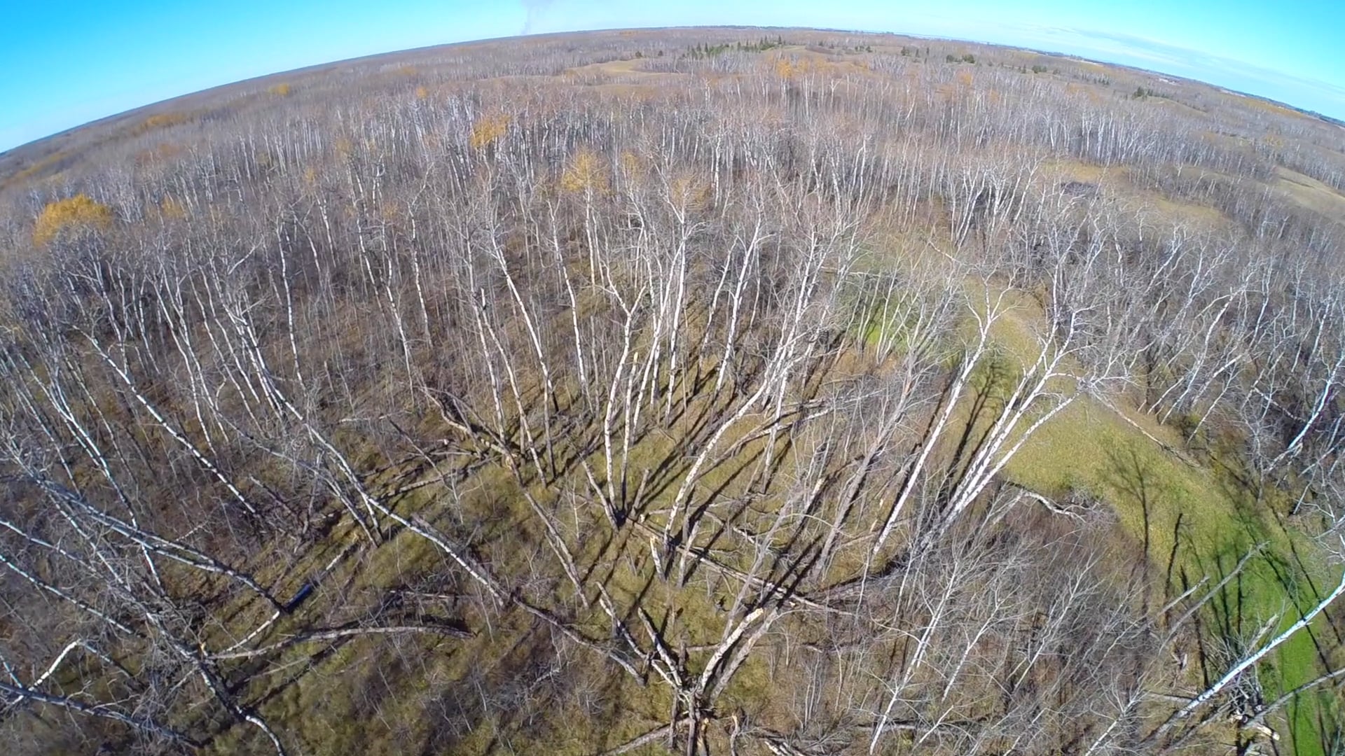 200 Acres of Prime Hunting Land Towner, North Dakota on Vimeo