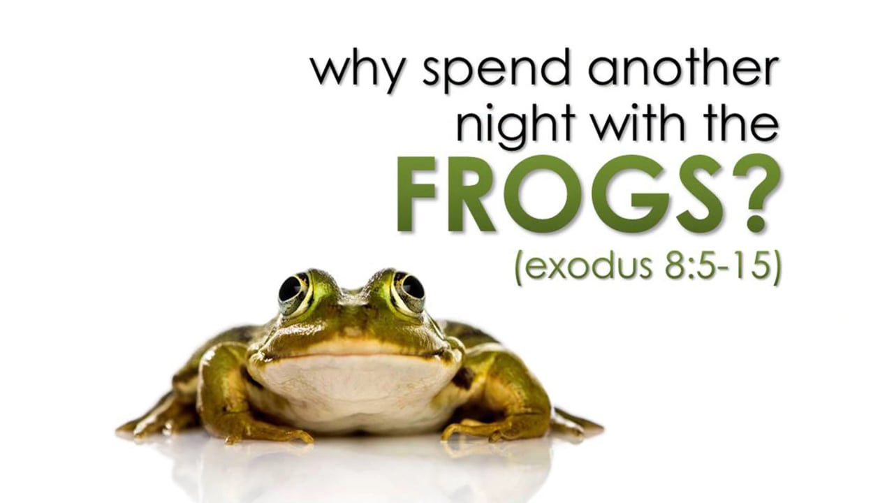 Another Night With the Frogs (Steve Higginbotham)