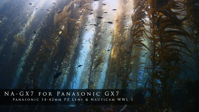 NA-GX7 & Nauticam WWL-1 Lens Showreel