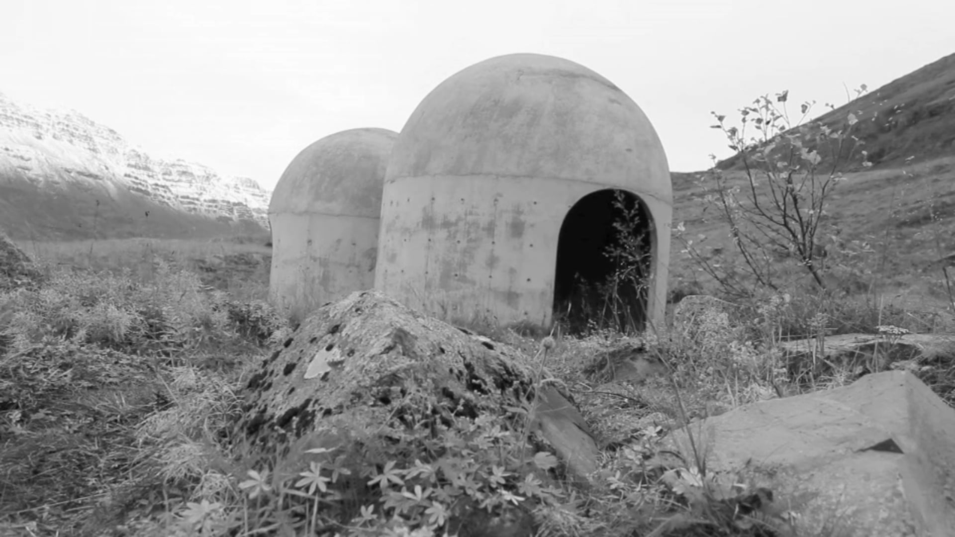 Divisions of 12 - Lilja