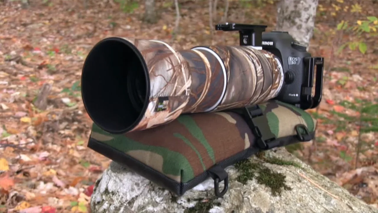 LensCoat LensSack Beanbag Camera Support (Realtree Max4) LCLSM4