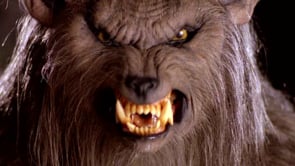 Hey Werewolf