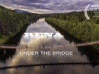 RENA under the bridge