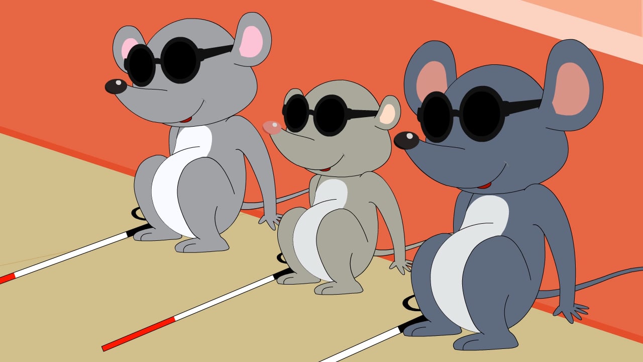 Three Blind Mice Stories With Song On Vimeo
