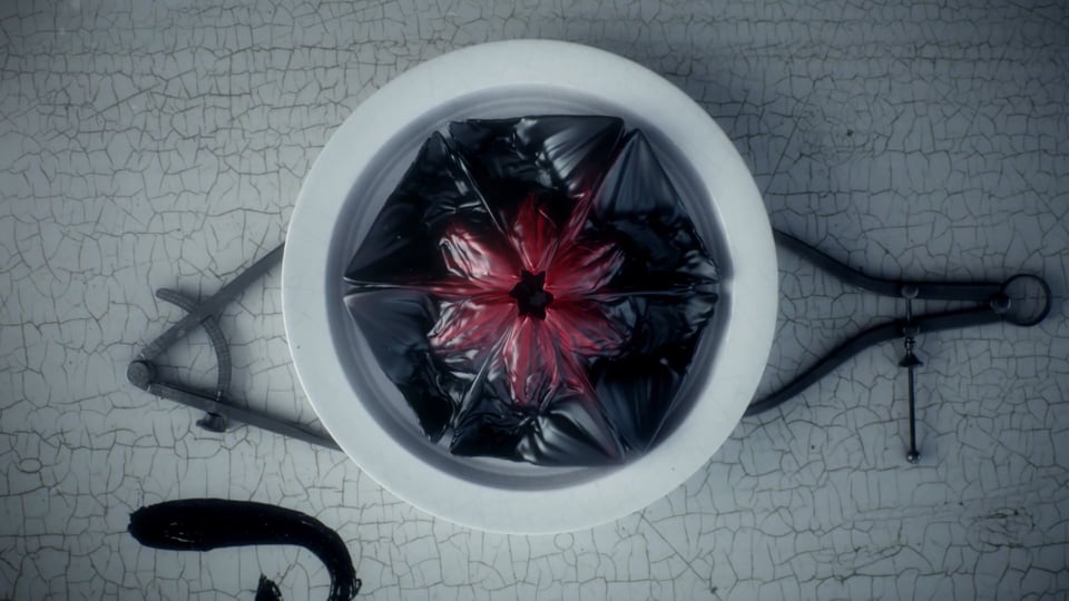 Zombie Flowers