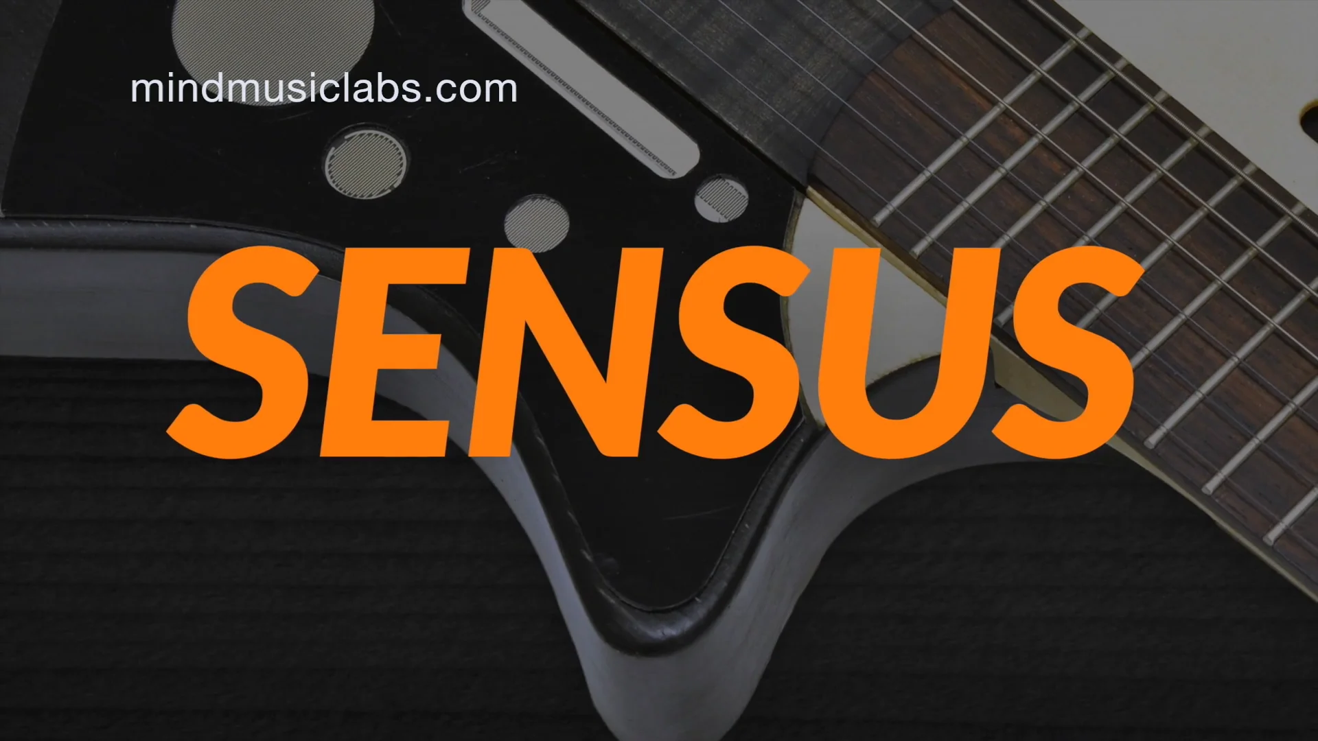 Sensus guitar store