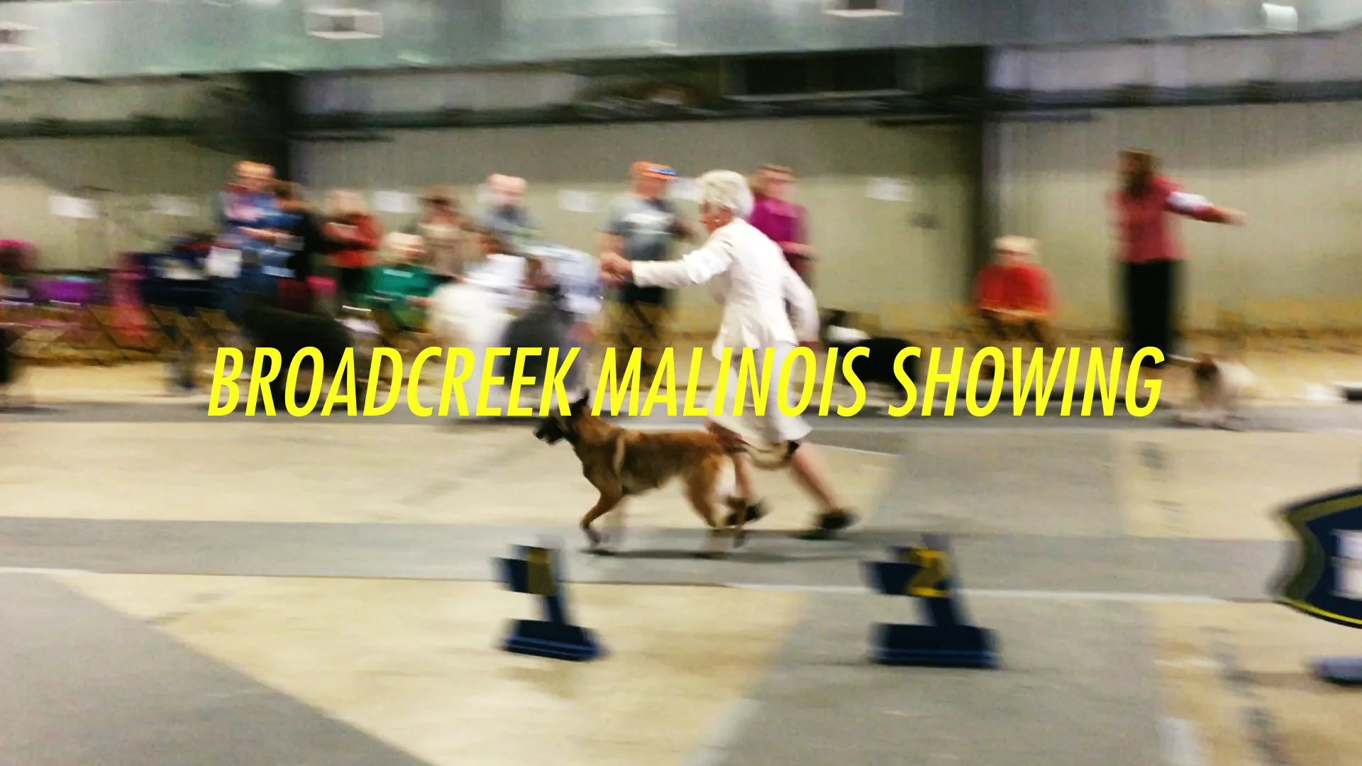 Broadcreek malinois store