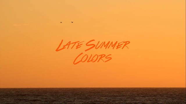 Late Summer Colors from Ian Tavares