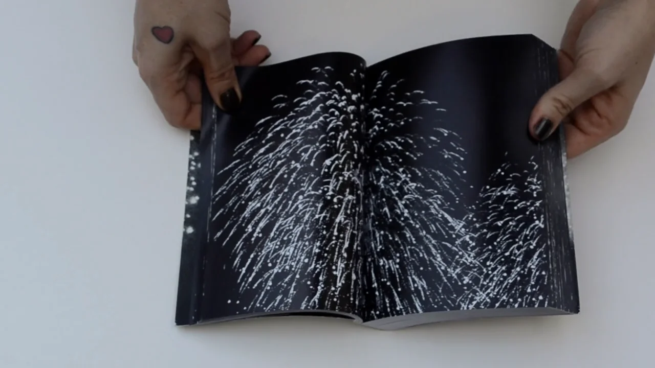 Galerie Dennis Cooper presents … Pierre Le Hors Firework