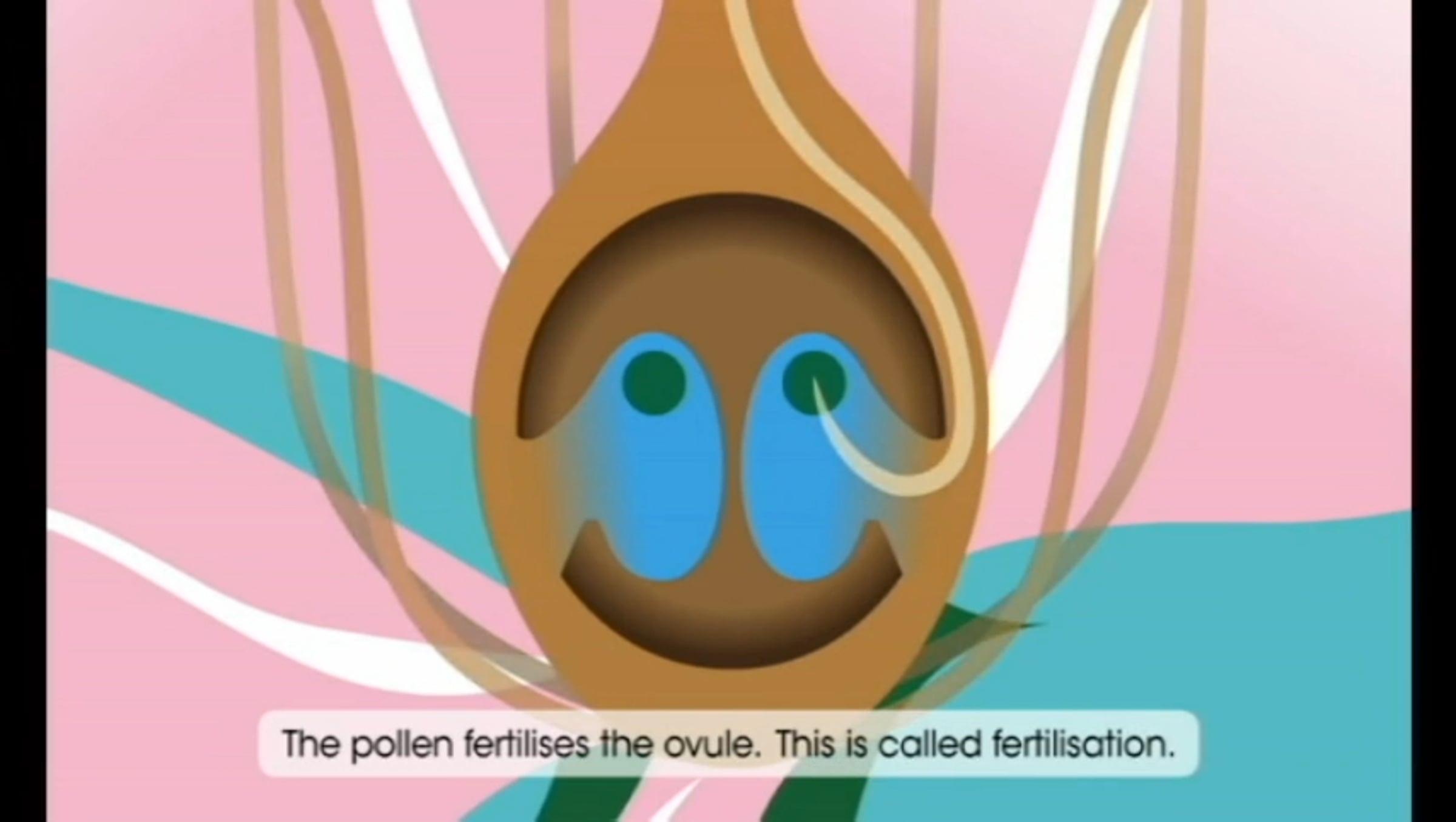 7-sci-3-5 Pollination - OUP science animation-SD | Videos & Movies on Vimeo