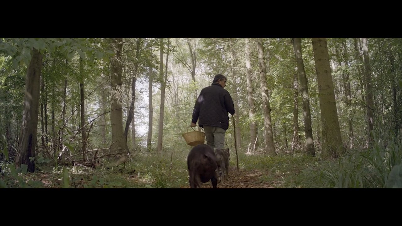 Foraging for seasonal wild mushrooms with Bruno Loubet on Vimeo