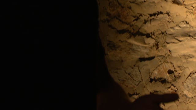ANIMA, film excerpt