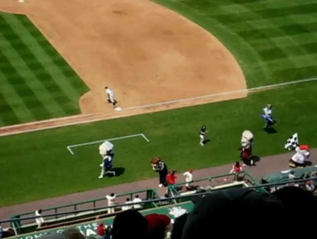 Video: Nats fans meet Stephen Strasmonkey, who promptly tackles Teddy – LET  TEDDY WIN